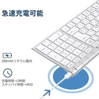 キーボード ワイヤレス ウルトラスリムフルサイズ 2.4Gワイヤレスキーボード GKJ22S iClever