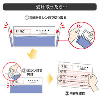 ヒサゴ A4裏地紋2面密封式 BP2009TN 1冊