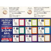 コレクト コレクションポケットバインダー4穴 厚型 F-3044-CL 1セット(1冊×3)