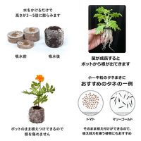 サカタのタネ ジフィーセブン 30mm 48個 そのまま植えられる土ポット 271228 1個（直送品）