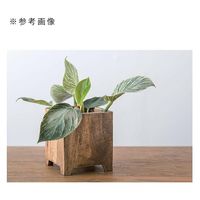 ポッシュリビング キューブポットカバー　Ｓ　３号鉢用 281673 1個（直送品）