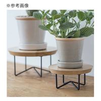 ポッシュリビング サークルコンポート(直径20×高さ10cm) 植木鉢台 鉢台 282791 1個（直送品）