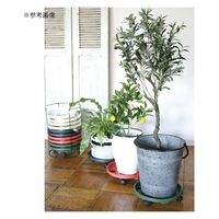 スパイス キャスター付き プランタートレイ オリーブ 282839 1個（直送品）