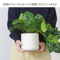 不二貿易 フェイクグリーン モンステラ セラミックポット 41139 1個