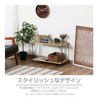 不二貿易 EZBO ワイヤーラック ２段 幅620×奥行310×高さ387mm オークナチュラル 77559 1台（直送品）