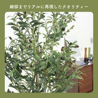 不二貿易 フェイクグリーン オリーブ 180cm ジョイント 41122 1個