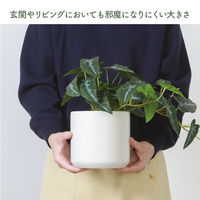 不二貿易 フェイクグリーン アロカシア セラミックポット 41138 1個