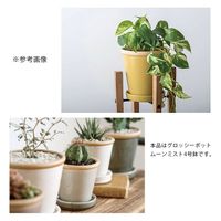 ポッシュリビング グロッシーポット ムーンミスト 4号鉢 受け皿付き 植木鉢 おしゃれ 観葉植物 282819 1個（直送品）