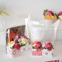 ヘッズ NEW無地クリアスタンドバッグ-L NM-OSBL 1パック(30枚)