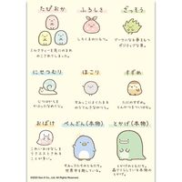 トーヨー デラックス ポケットぬりえ すみっコぐらし B6 309455 1冊