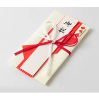 デザインフィル 金封 お祝 折形 三角 1枚入(中袋付) 赤 25495006 1パック