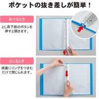 リヒトラブ クリヤーブック交換式 A4 30穴 30ポケット ベージュ N7016-16 1冊