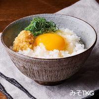 CRAFT MISO 生糀 650g 1個 ひかり味噌 無添加 国産米100％ クラフトみそ クラフト味噌