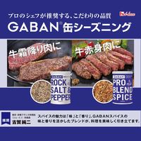 ９０ｇＧＡＢＡＮ　岩塩＆ペパー 2本 ハウス食品