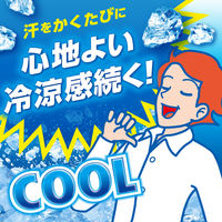 アイスノン シャツミスト ミントの香り 大容量 300mL 白元アース