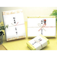 ササガワ のし紙 半紙判 五本結切 のし無し 山 3-515 1セット(1冊(100枚)×5)