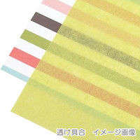 ヘイコー IP薄葉紙 ピスタチオ 002111638 1セット（50枚入×20束）（直送品）