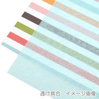 ヘイコー IP薄葉紙 ライトブルー 002111657 1セット（50枚入×20束）（直送品）