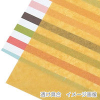 ヘイコー IP薄葉紙 Hゴールド 002111665 1セット（50枚入×20束）（直送品）