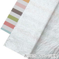 ヘイコー IP薄葉紙 シルバー 002111672 1セット（50枚入×20束）（直送品）