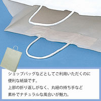 シモジマ 25チャームバッグ 2才 グレー無地 003216000 1セット(50枚×4袋 合計200枚)