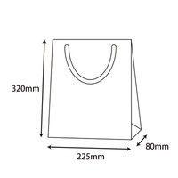 【ケース販売】HEIKO 紙袋 ブライトバッグ SWT 金 006138203 1ケース(10枚入×30袋 合計300枚)（直送品）