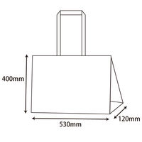 シモジマ Fバッグ Lショルダー 紺 008739502 1セット（10枚入×10束）（直送品）