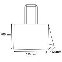 ヘイコー Fバッグ Lショルダー エンジ 008739503 1セット（10枚入×10束）（直送品）
