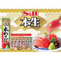 本生生にんにく 43g 1セット（1本×3） エスビー食品 ニンニク