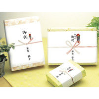 ササガワ のし紙 A4判 五本結切 山 3-486 1セット(1冊(100枚)×5)