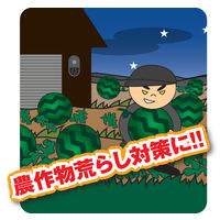 リーベックス 防犯カメラ SD1000 microSD録画式 センサーカメラ センサーライト付 夜間撮影