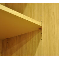 エイ・アイ・エス 2ドア収納ボックス ナチュラル 幅395×奥行380×高さ1667mm GTBX-002 NA 1台（直送品）