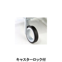 aries キャビネット デコ（引出し4段/クリア） DS6W（直送品）