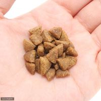 ホリスティックレセピー 猫用 7歳まで チキン&ライス 1.6kg（400g×4袋）1袋 パーパス キャットフード