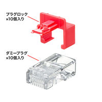 サンワサプライ RJ-45プラグロック ADT-RJ45LOCK 1セット（直送品）
