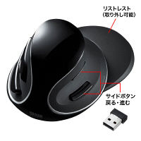 サンワサプライ ワイヤレスブルーLEDエルゴマウス MA-ERGW13 1個（直送品）