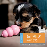 パピーコング XS ピンク 犬用おもちゃ コングジャパン