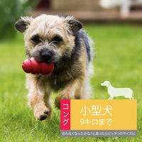 コング S 犬用おもちゃ コングジャパン