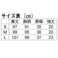 アイトス ノーカラーワンピース ネイビー L 861116-088-L 1枚　白衣