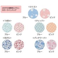 アズワン さわやか食事用エプロン チェック ブルー 7-3060-01 1袋(1枚)（直送品）