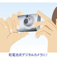 パナソニック リチウム乾電池単4/4B FR03HJ/4B 1パック（4本入）