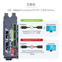 Startech.com 15cm DisplayPort - Mini DisplayPo DP2MDPMF6IN 1個