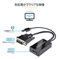 Startech.com DVI - DisplayPort 変換アダプタ USBバスパワー DVI2DP2 1個
