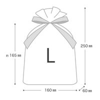 【ギフトバッグ／ラッピング袋】 ヘッズ オーガンジーバッグ／アイボリー-L OGI-BL 1セット（50枚：10枚×5パック）