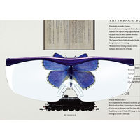 Hazuki Company ハズキ ラージ クリアレンズ 紫 1.85倍 4964594732173（直送品）