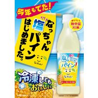 サントリーフーズ なっちゃん 塩パイン（冷凍兼用）425ml 1セット（48本）