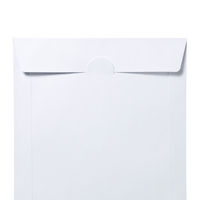 サンワサプライ DVD・CDペーパースリーブケース(窓なしタイプ・100枚入り) FCD-PS100NWW 1袋(100枚入)（直送品）