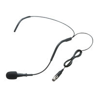 サンワサプライ ワイヤレスヘッドマイク(MM-SPAMP4/7用) MM-SPAMP4WHS 1個