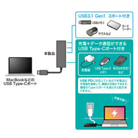 USBハブ　USB3.2Gen1　USB-C　Type-C×1、USB3.2Gen1×3　USBポート　USB-3TCH8BK　サンワサプライ　1個