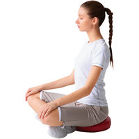 秦運動具工業 バランスディスク 193851 DK380 1個（直送品）